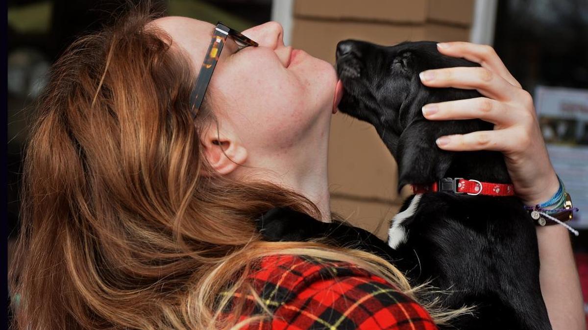 Evienne Jarvis is greeted by a Labrador mix puppy during Barks on the Boardwalk, a pet adoption and donation event Sunday at The Wine Vault at the Shoppes at University Place. Kreitzer’s Critter Corral Puppy Rescue, a Cabarrus County-based nonprofit, holds puppy rescue events weekly.