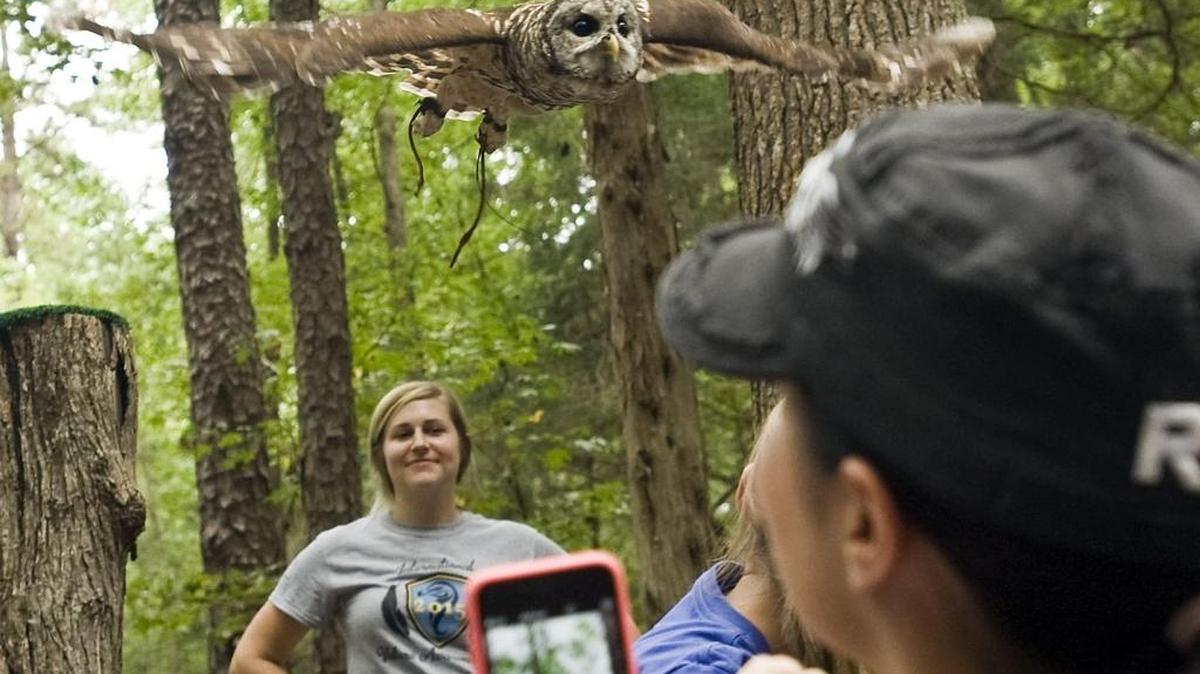Mom’s Breakfast with the BirdsCarolina Raptor Center, 6000 Sample Road, HuntersvilleSunday, 10:30 a.m. - noon: Moms can bring their kids for an exclusive brunch-time trail walk and light breakfast. The Raptor Trail is open just for moms, who get in free. Cost $5 for everyone else. www.carolinaraptorcenter.org