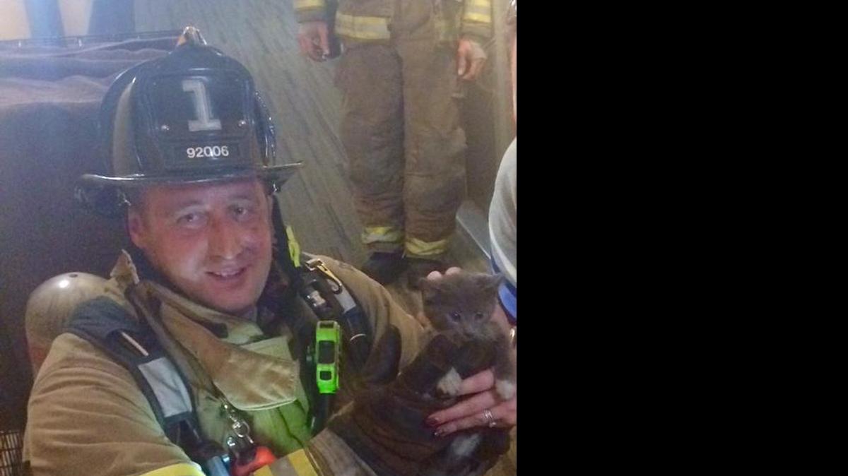 
Charlotte firefighters said they rescued dozens of cats and kittens from an apartment fire on East 7th Street on Friday.

