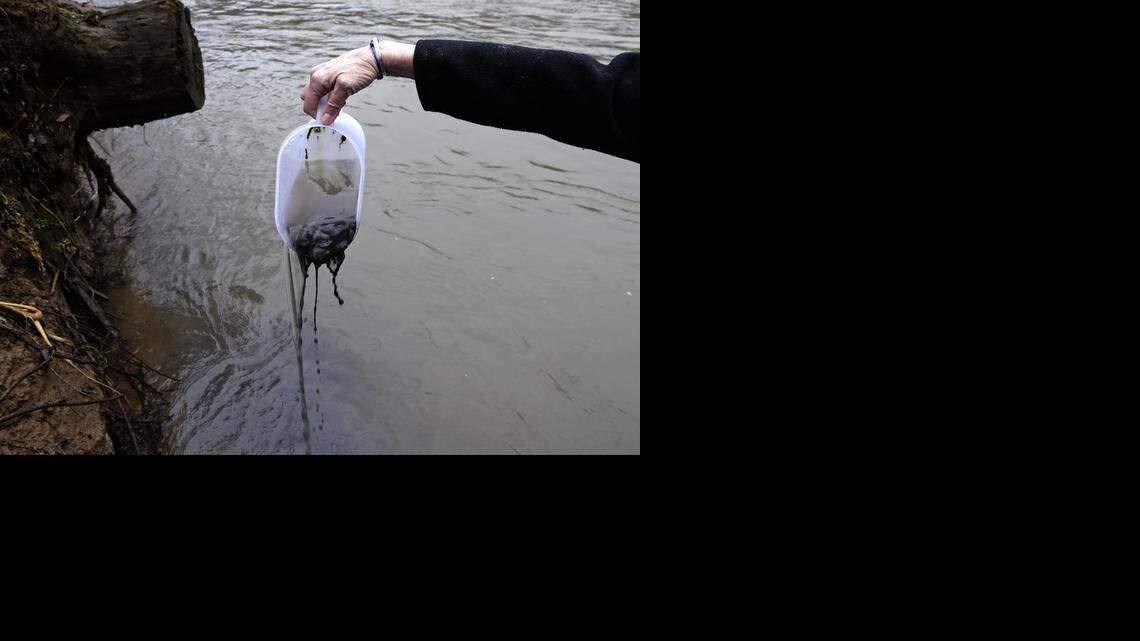 

Jenny Edwards, program manager for the Dan River Basin Association, scoops coal ash from the banks of the river as state and federal environmental officials investigate the spill in Eden.
