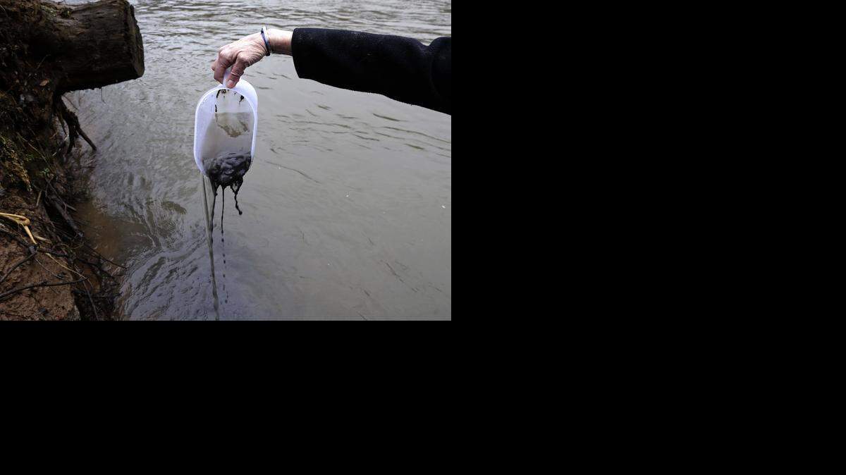

Jenny Edwards, program manager for the Dan River Basin Association, scoops coal ash from the banks of the river as state and federal environmental officials investigate the spill in Eden.
