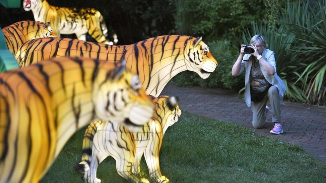 Daniel Stowe Garden cancels Chinese Lantern Festival, but not directly due to COVID-19
