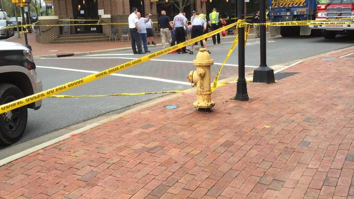 A woman was killed Friday in this area on S. Main Street in downtown Davidson while trying to cross with a dog.