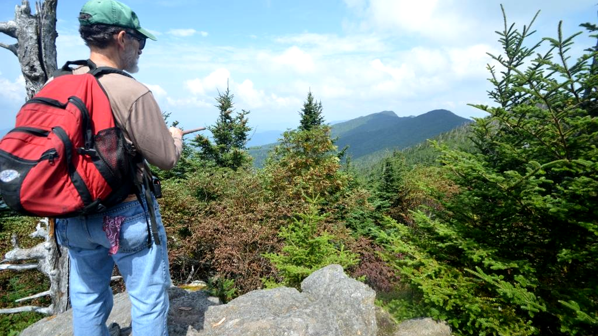 Hiker Wayne Johnson of Charlotte views Balsam Cone and Cattail Peak from atop Big Tom peak in Mount Mitchell State Park in October.