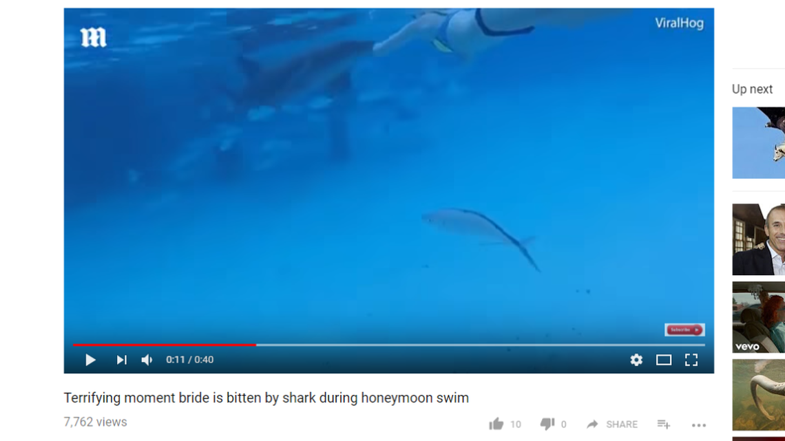 YouTube screenshot from Evan Carroll’s video of the moment the shark made contact with Sarah Carroll.