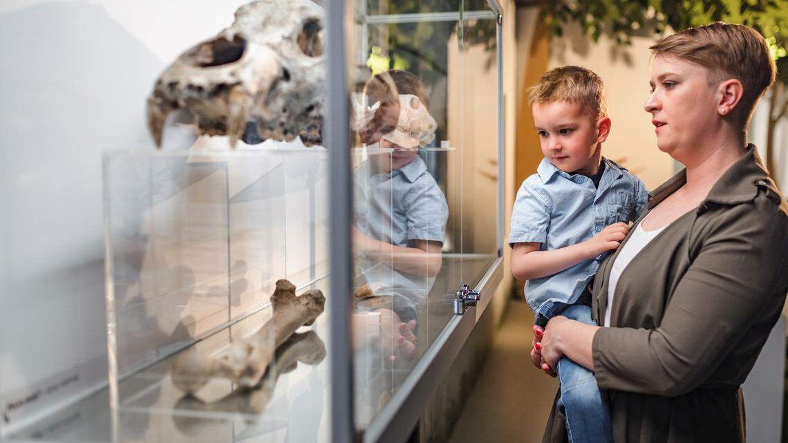 Your Complete Guide to Discovery Place Science: Charlotte’s Premier Hands-On Museum for Curious Minds of All Ages