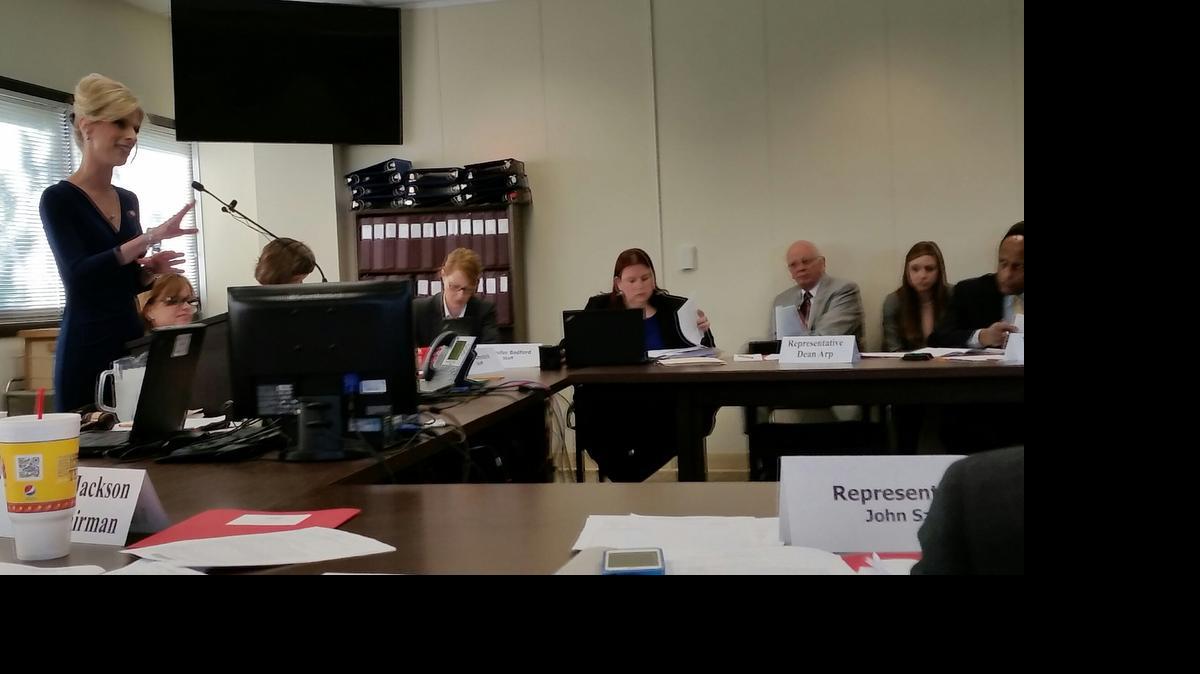 
Rep. Jacqueline Shaffer presents her bill loosening gun restrictions in North Carolina to a House Judiciary Committee on Tuesday morning in Raleigh.
