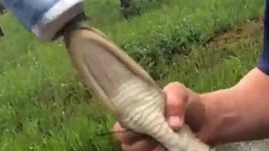 One of the images posted on SnapChat.