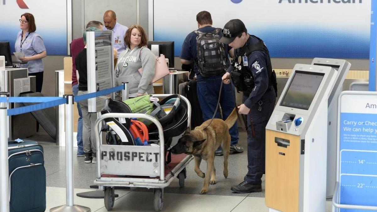 A Charlotte-Mecklenburg Police K-9 unit with the Charlotte Douglas International Airport Division checks baggage in the ticketing area on Tuesday, March 22, 2016.