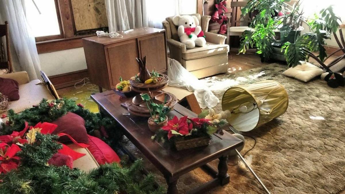 The aftermath of a deer jumping through Doris Coffey’s living room window.