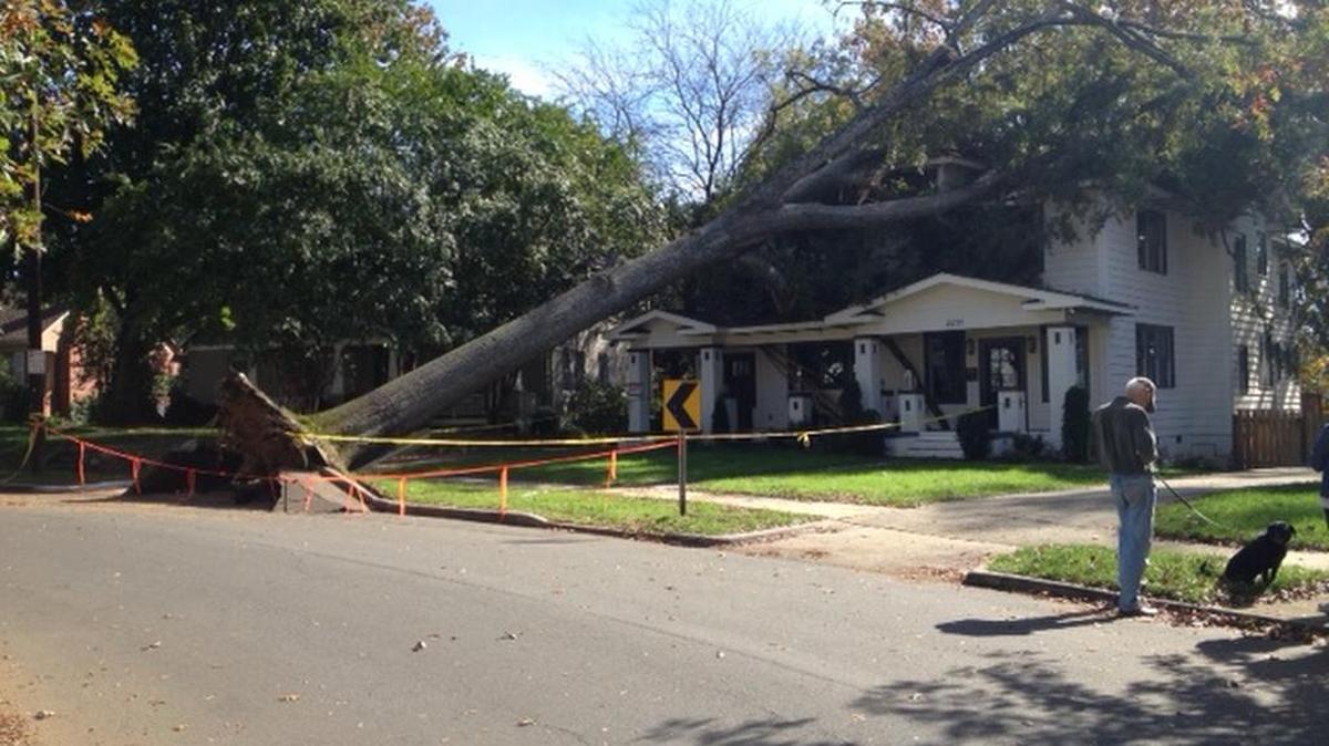 Dilworth residents examine the damage after a tree toppled onto a 4,241-square-foot home on Charlotte Drive Friday morning.