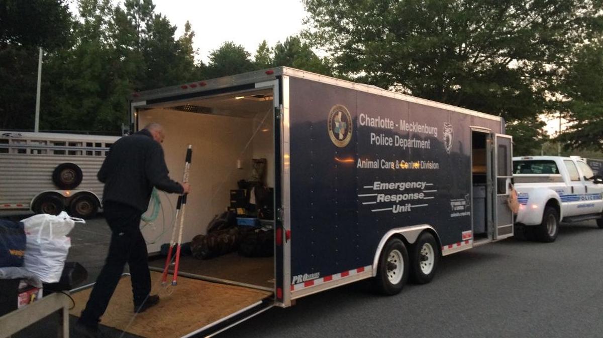 The Charlotte-Mecklenburg Police Department is sending teams to the eastern part of the state to rescue animals – including horses and livestock – caught up in the record-setting flood that continue to plague the state after Hurricane Matthew