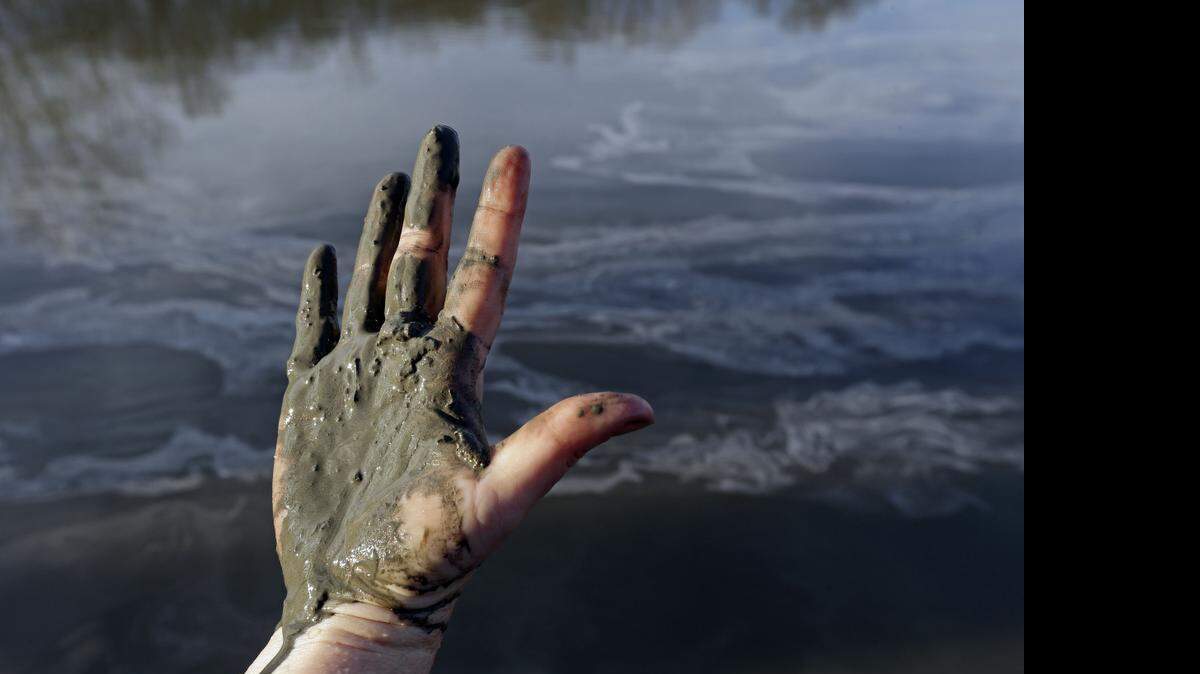 
A hand is covered with wet coal ash from the Dan River in 2014 as state and federal environmental officials continued their investigations of a spill of coal ash. 

