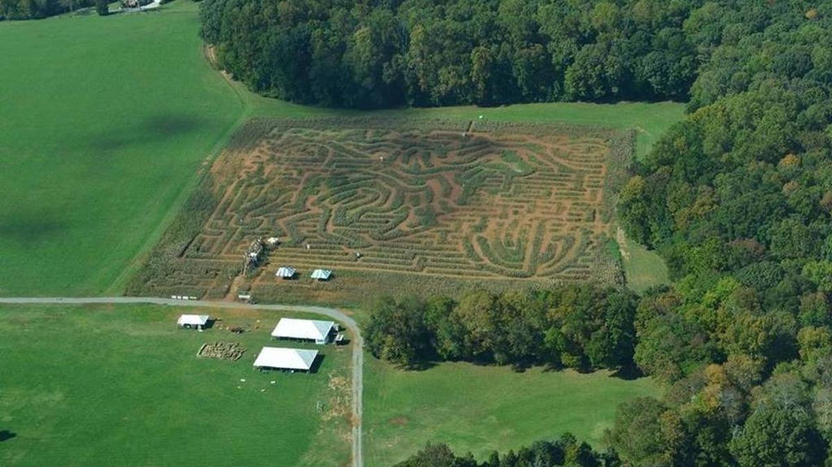 This aerial photo shows this fall’s corn maze at Historic Rural Hill in north Mecklenburg