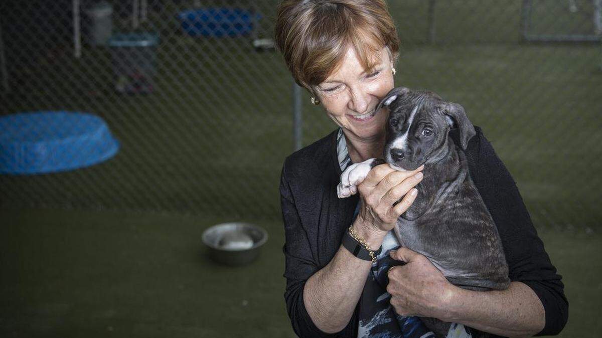 
Katie Tyler is credited with saving the Charlotte Humane Society after she volunteered to oversee changes in the agency during a lawsuit in which they were accused of not doing enough to reduce euthanasia rates, despite having a contract with the city for spay-neuter services. 
