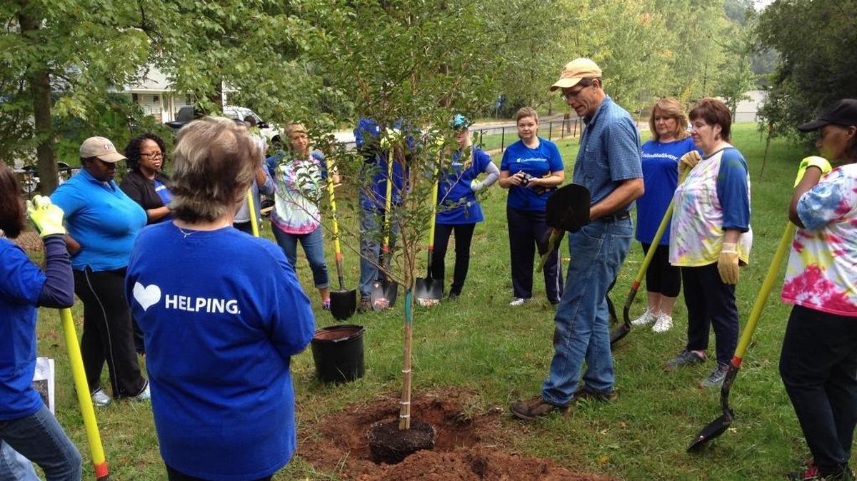 TreesCharlotte executive director Dave Cable teaches proper tree planting techniques to volunteers at a stewardship event at Highland Mill Montessori School last October.