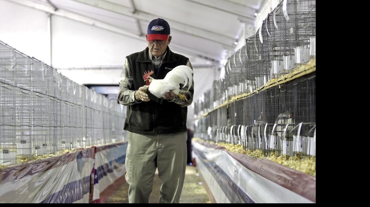 
Carl Beard, who oversees the poultry shows and competitions at the N.C. State Fair, works in the poultry barn at the 2014 fair. Concerns over avian flu prompted the state to suspend public shows and sales of poultry starting in mid-August.
