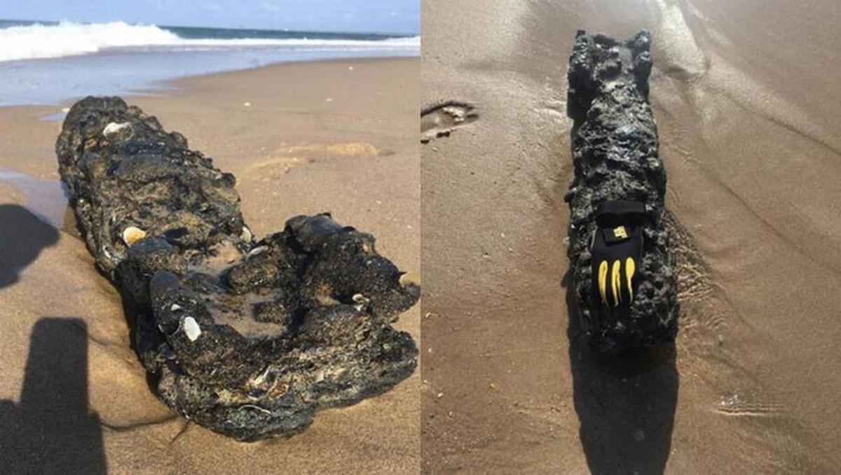 World War II training device found on Shelly Island