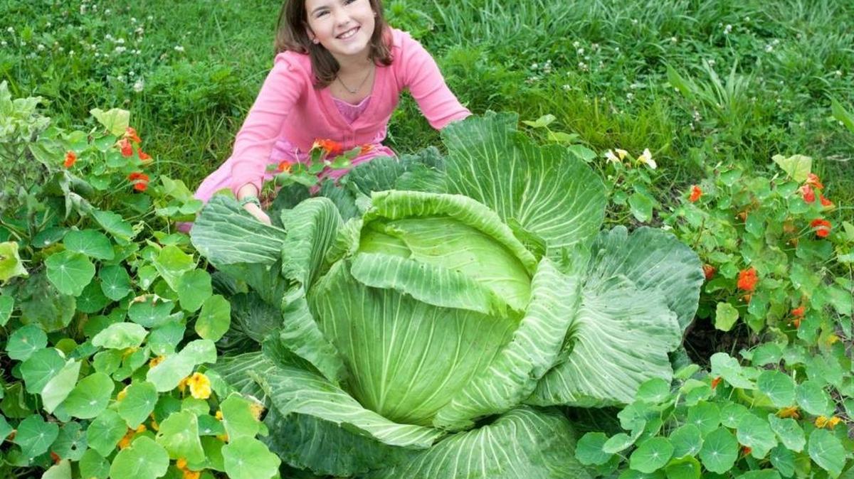 Emily Prince and her monster cabbage.