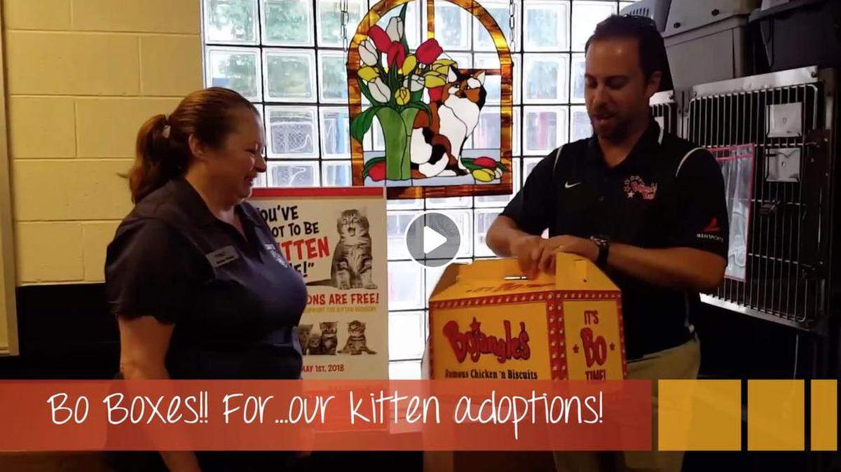 Bojangles workers delivered extra-large Bojangles’ tailgate boxes to the animal shelter, to be used to transport adopted kittens to their new homes.