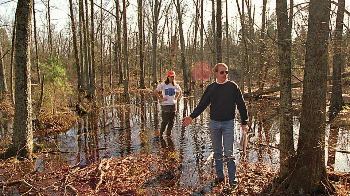 A large portion of North Carolina’s wetlands could lose protections due to the dual impact of a Supreme Court decision and state law. In this file photo, conservationists are shown touring wetlands near Charlotte.
