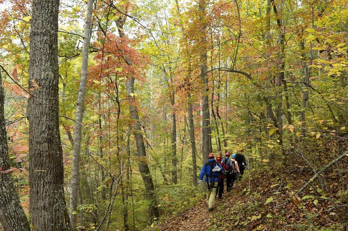 Asheville ranks as a top fall vacation destination. This file photo was taken at nearby Navitat Canopy Adventures.