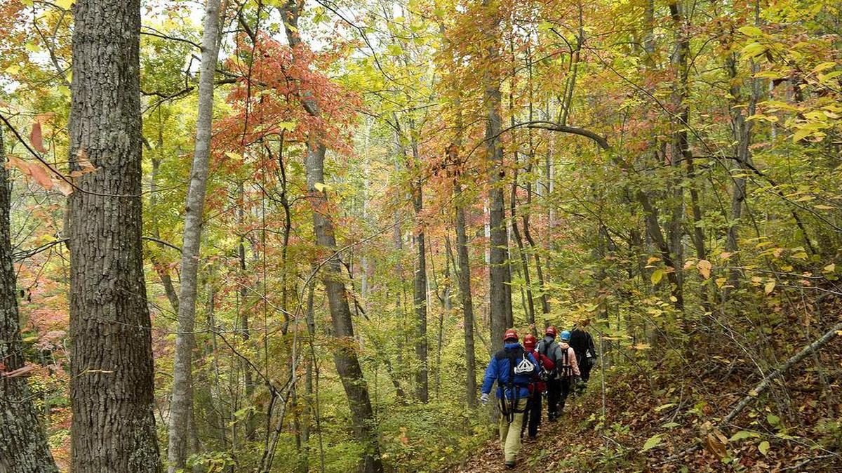 Asheville, North Carolina, was named the best place for fall trips. This file photo shows people at nearby Navitat Canopy Adventures.