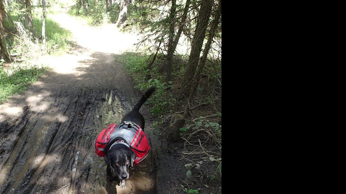 
Tennille shown hiking the Colorado Trail in late June
