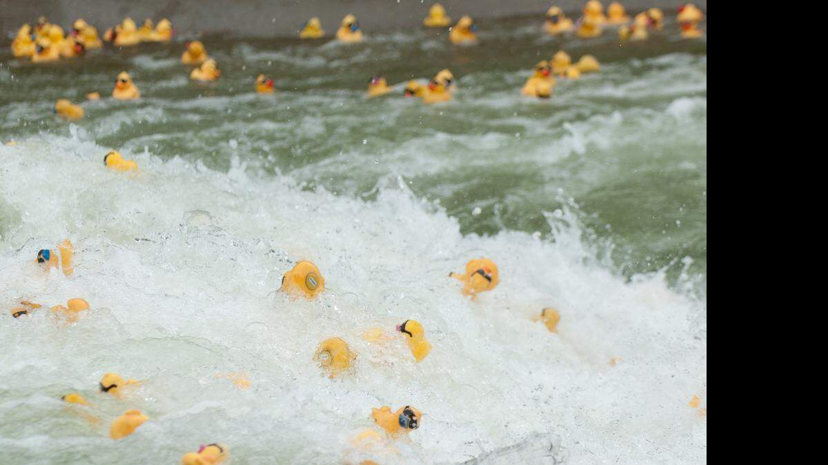 
KinderMourn's 11th annual Hope Floats Duck Race took place at the U.S. National Whitewater Center in Charlotte on Sunday April 26, 2015. Ducks were “adopted” and set free down the rapids. Proceeds benefit KinderMourn.
