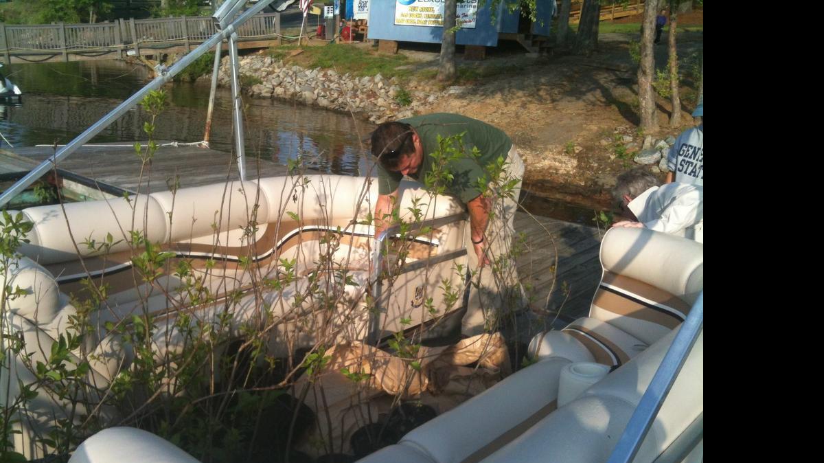 
A volunteer with the Lake Norman Wildlife Conservationists loads buttonbush plants onto a pontoon boat for transport to a planting site on Lake Norman. 
