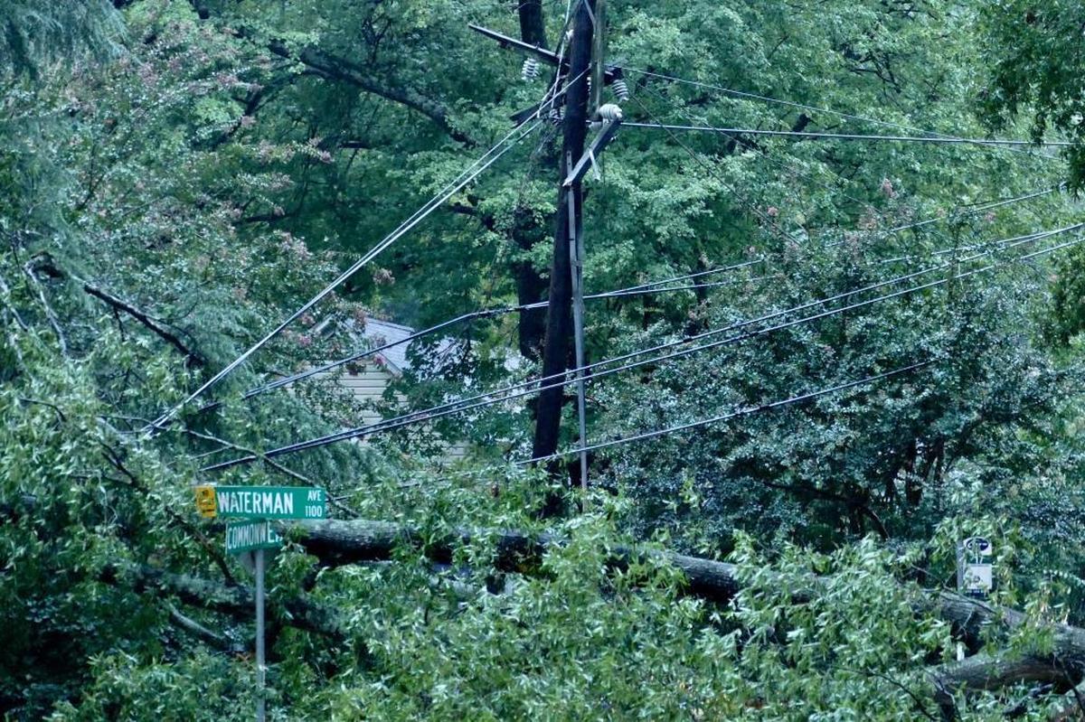 A large branch pulled down power lines and closed Commonwealth Avenue at Waterman Avenue in Charlotte on Tuesday morning.