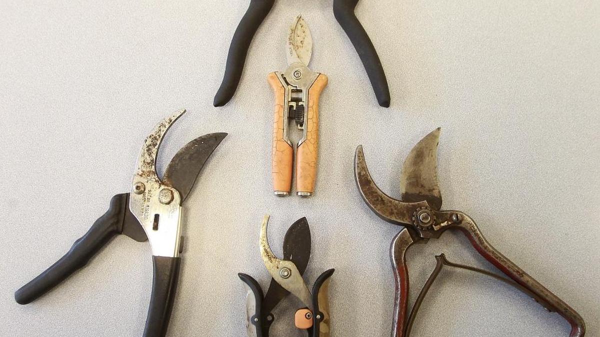 Customers fled in terror from an SC Walmart on Monday, after a man began confronting people with garden shears