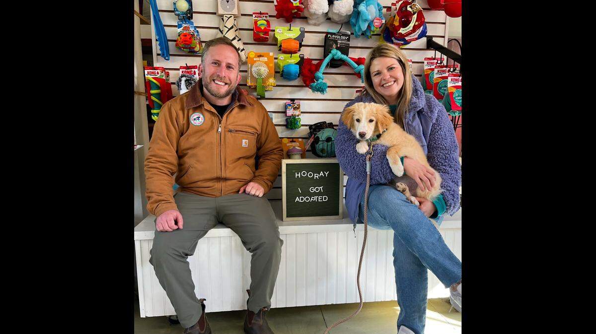 Mike the quirky dog has a new home in North Carolina.