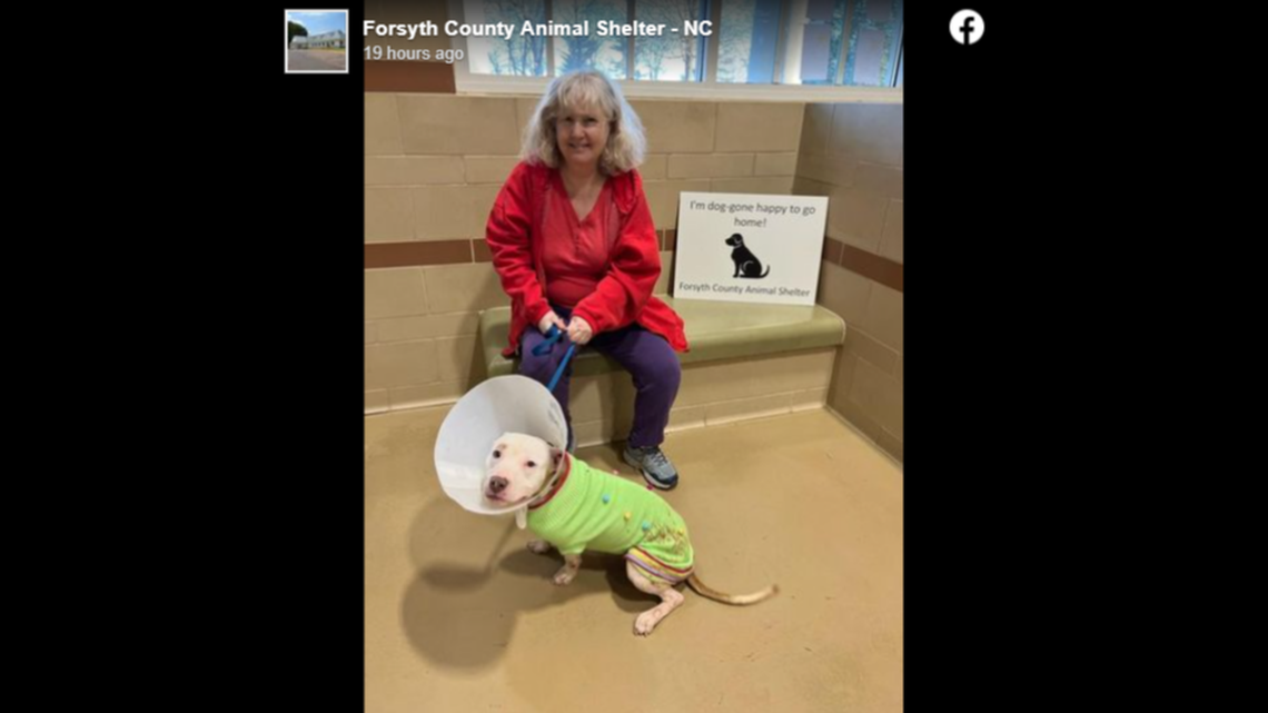 Marshmallow was adopted after arriving at a North Carolina shelter “emaciated,” officials said.