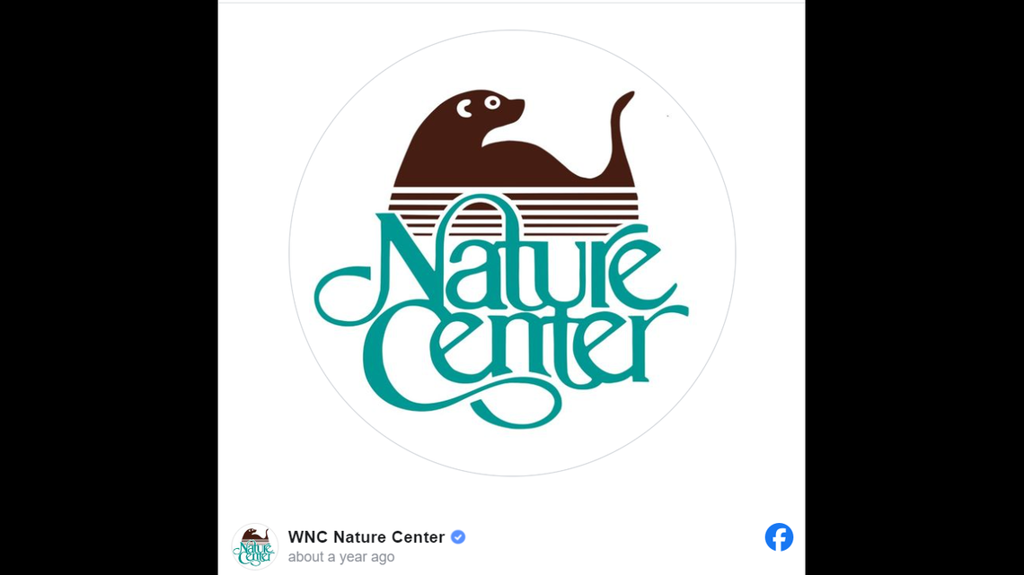 The cougar cubs “never learned critical survival skills,” a North Carolina zoo said.