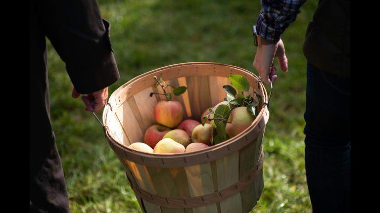 This apple orchard in North Carolina ranks among the nation’s best. Here’s why