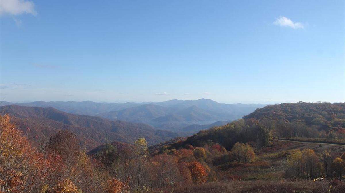 Fall foliage, as seen Oct. 26 from a webcam in the Purchase Knob area, is giving a burst of color to the North Carolina mountains.