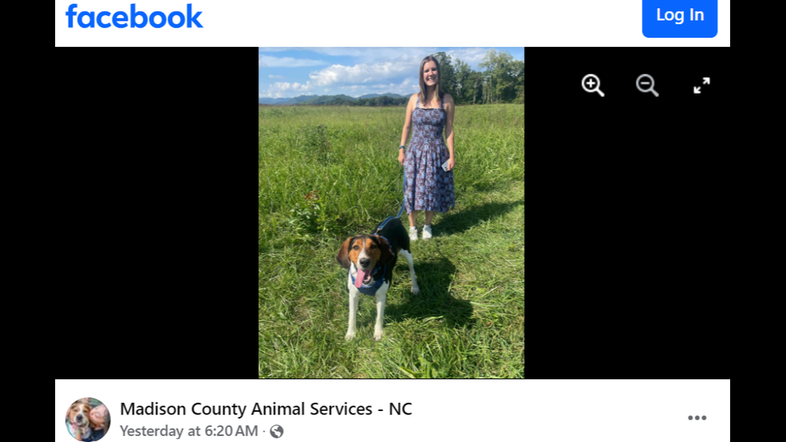 Sherlock’s luck changed after he spent six months in a shelter.