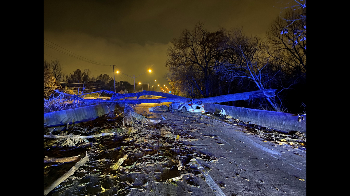 A 51-year-old Nashville woman died when she drove her car onto a closed part of a road and struck a downed tree that crews were working to remove, Tennessee police say.