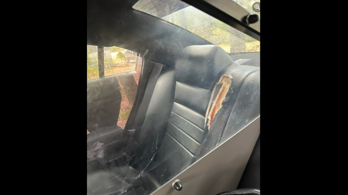 A woman arrested for assault in Boone, North Carolina, ate parts of the seat in the patrol, car, photos show.