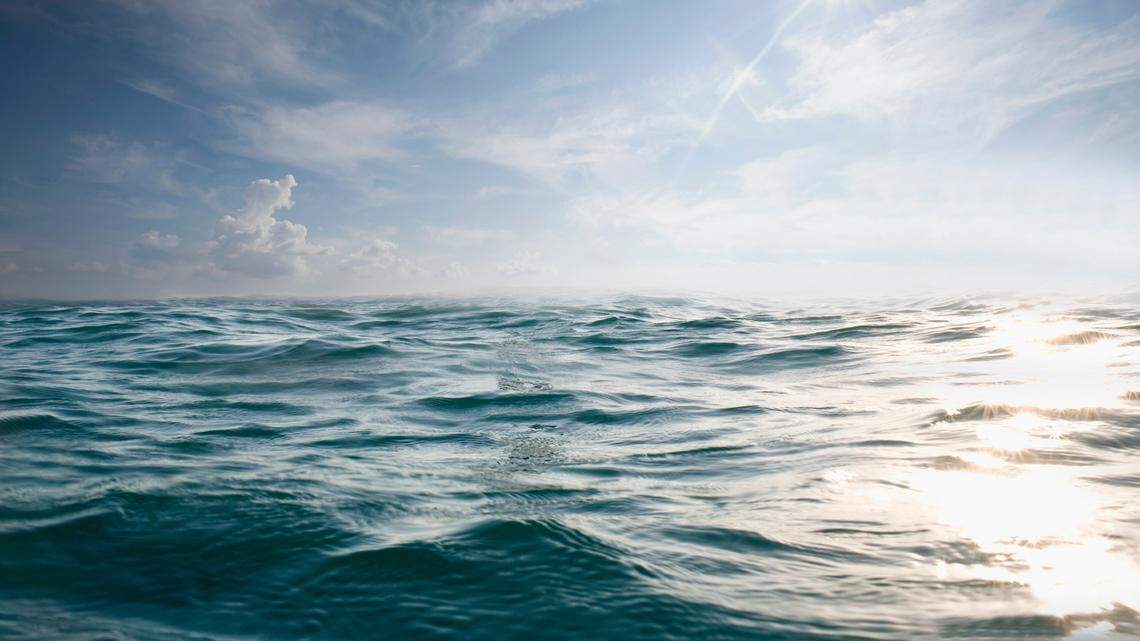 First baby humpback whale of season seen swimming with mom off Washington. See it