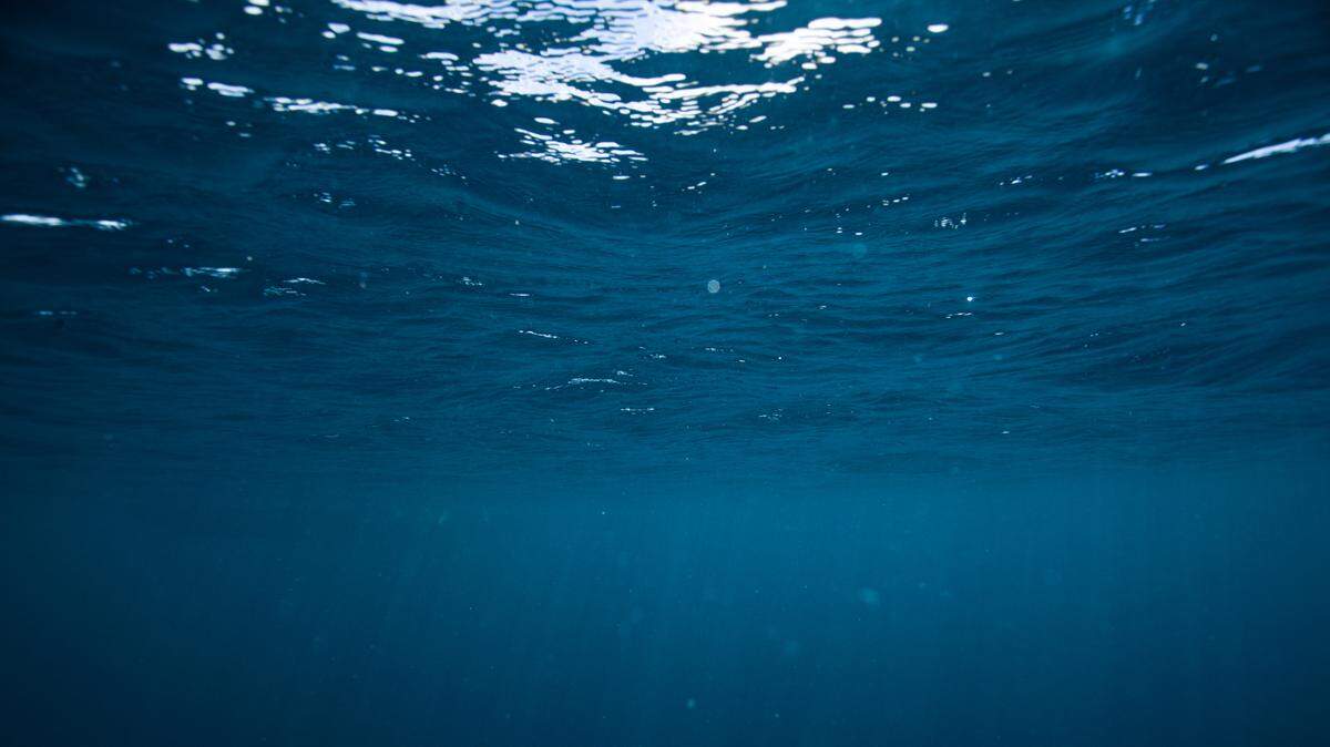 Baby sea creatures were spotted off the coast of California, boaters said.