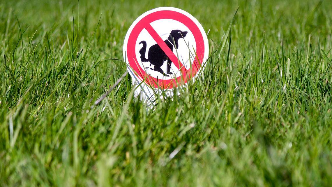 An argument between two men over one not picking up after his dog led to a deadly shooting, Tennessee police said.