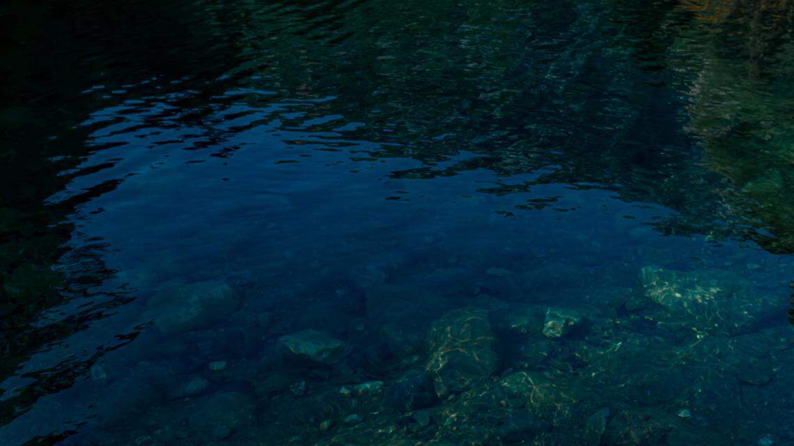 Scientists found a “slender” creature with a bright orange belly in a mountain lake of Guangdong and discovered a new species, a study said.