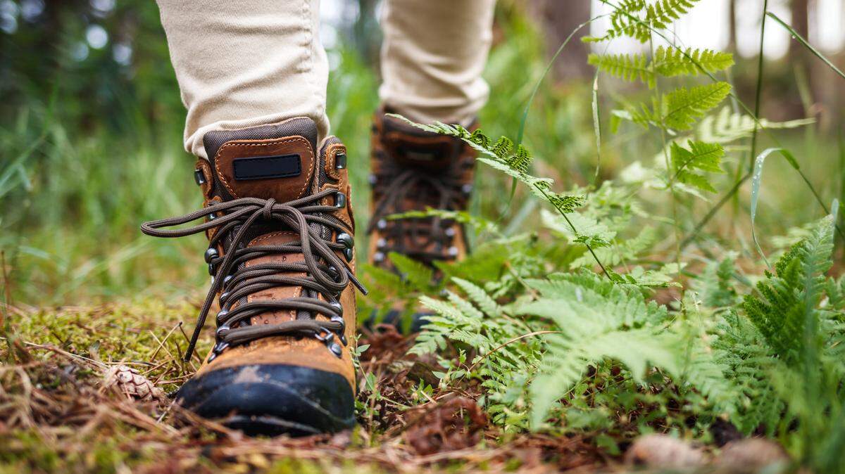 A search for the two elk hunters began Sept. 13 at the Rio De Los Pinos Trailhead in the San Juan Wilderness Area.