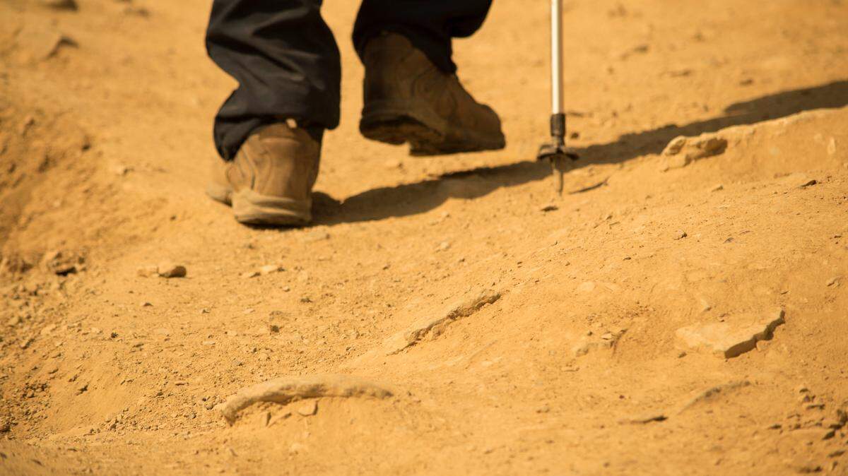 A hiker vanished after going to get help for his girlfriend while she was experiencing heat exhaustion, California officials said.
