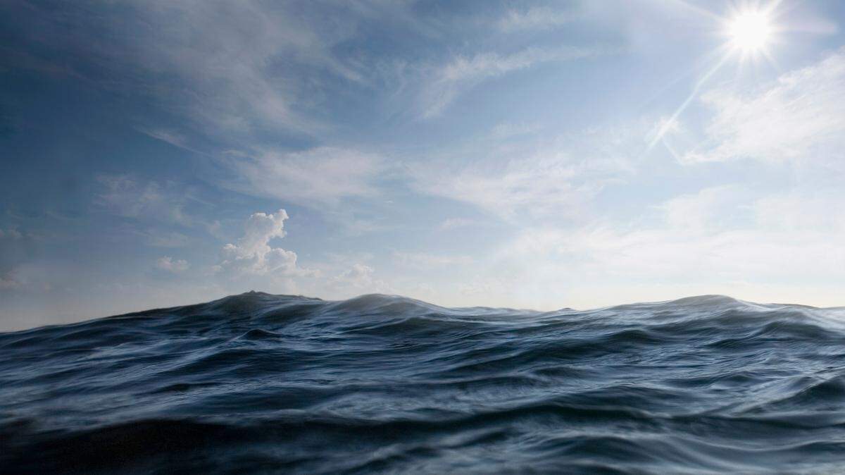 A pair of rare North Atlantic right whales were seen by researchers off the coast of Massachusetts, bringing hope for the endangered species, experts said.