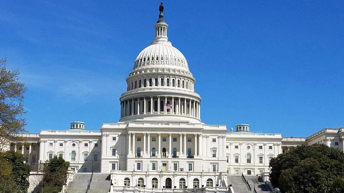 Endorsements: Our choices in Mecklenburg County’s crowded congressional primaries | Opinion