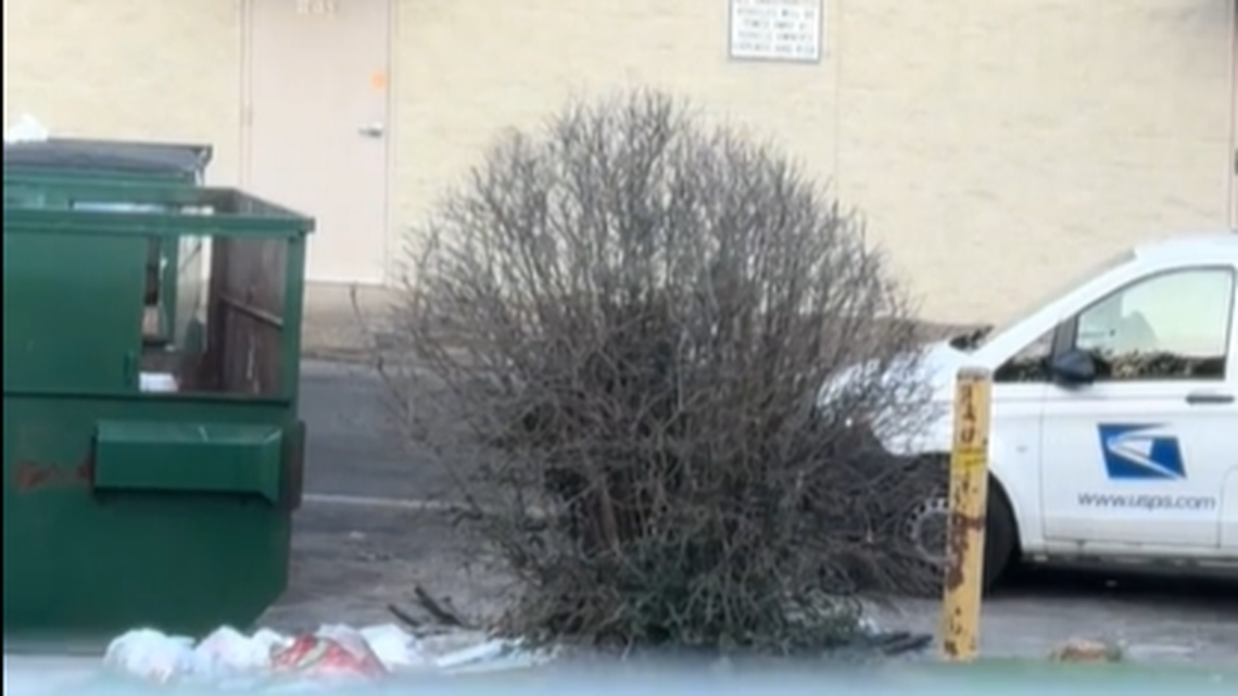 A postal worker from the Nashville area has been indicted on a charge of unlawfully detaining and delaying the mail after a TikTok user posted a video showing a USPS carrier throwing away mail, federal officials said.