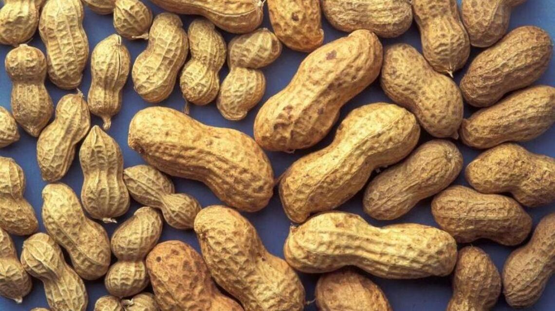 A pill to treat peanut allergies? The world’s first medicine could be out next year